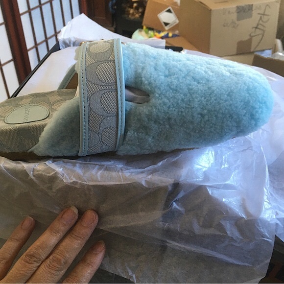 Coach Sherling Clog - Picture 5 of 10